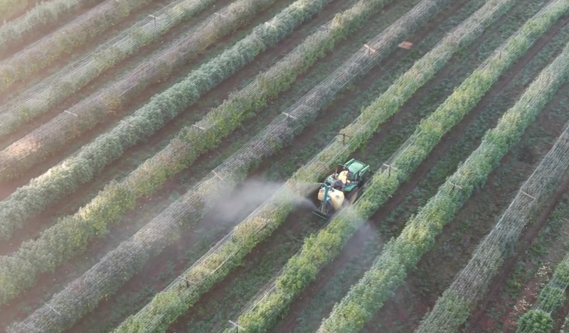 Our Story Began As Farmers